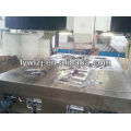 Precision Stamping Mould